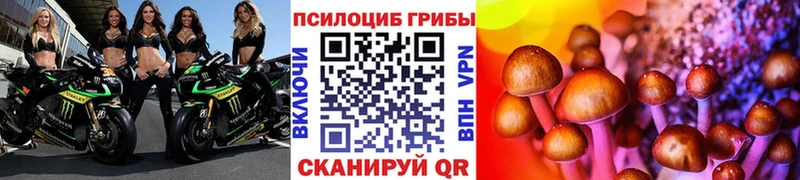Галлюциногенные грибы Psilocybine cubensis  Борисоглебск 